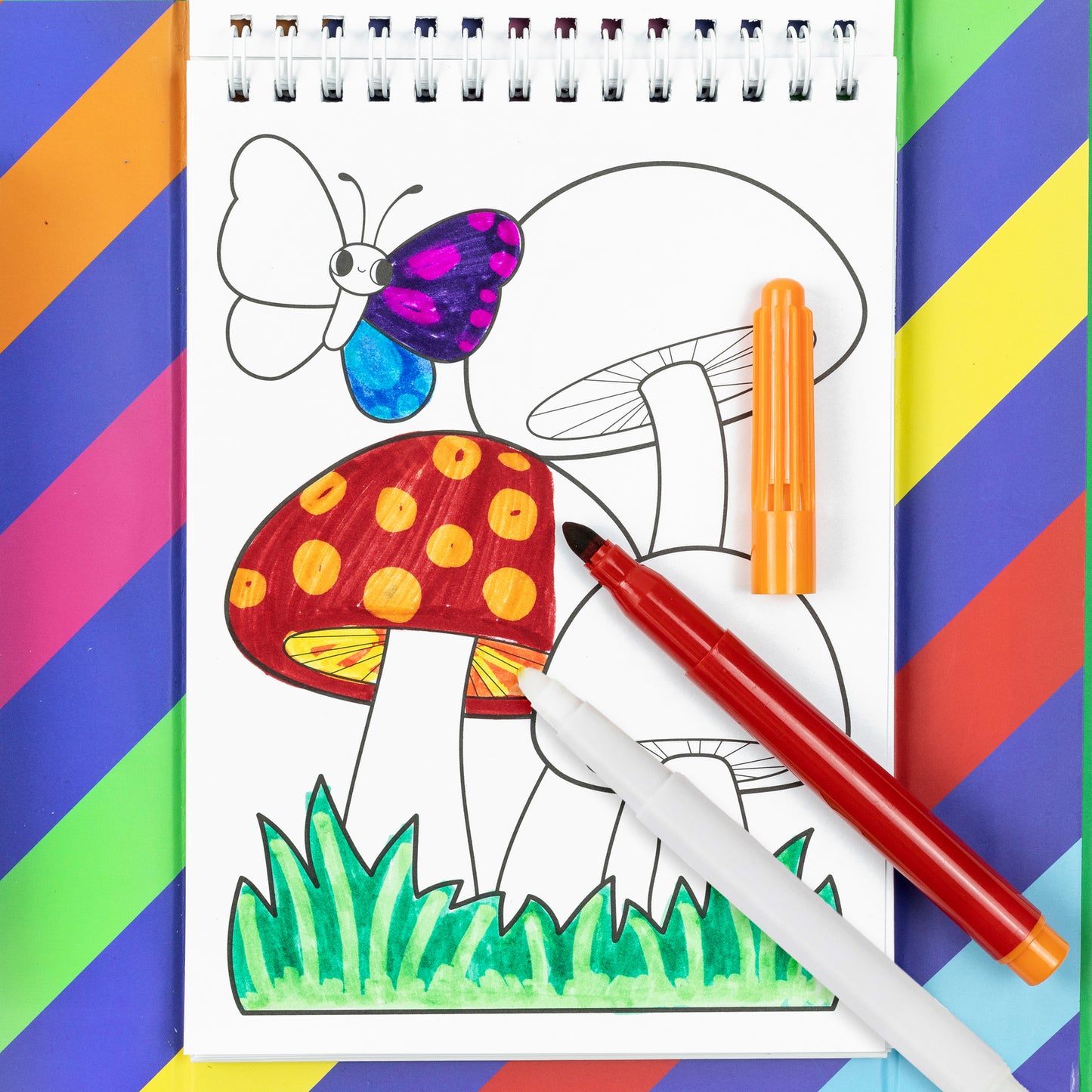 Tiger Tribe Colouring Set - Garden Friends