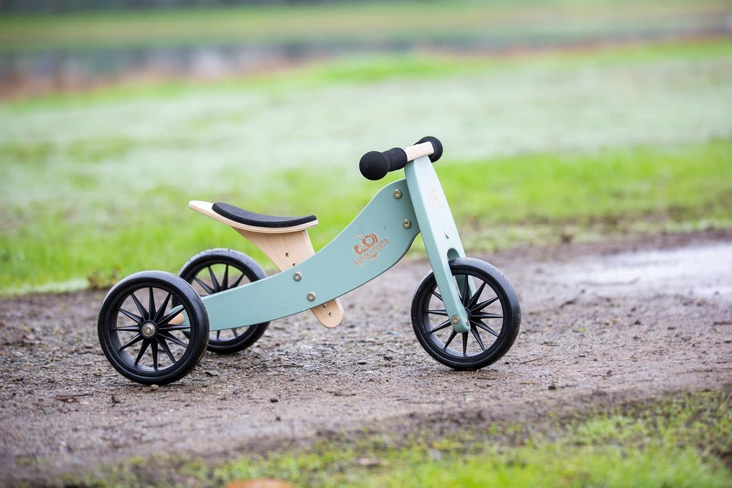 Tiny Tot 2-in-1 Trike - Sage