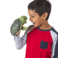 Folkmanis Little Turtle Hand Puppet