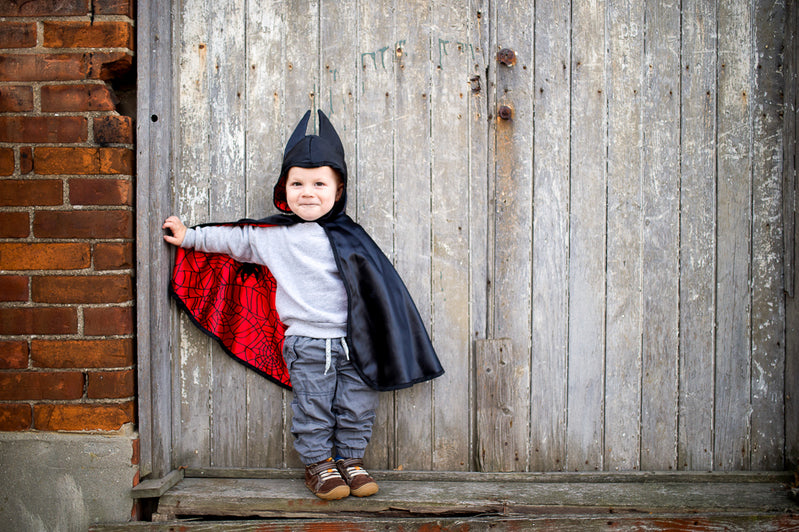 Great Pretenders - Toddler Reversible Spider & Bat Cape