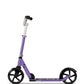 Micro Scooter Cruiser Purple