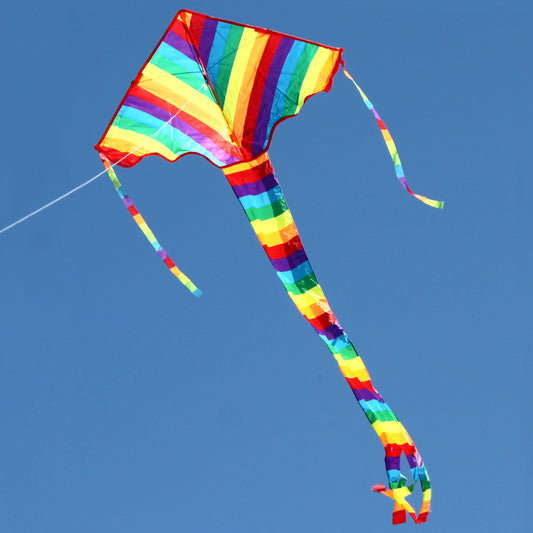 Rainbow Delta Kite